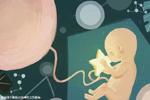 胚胎培养室